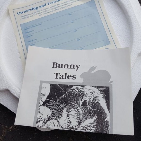 Collectible plates - Picture 2 of 3